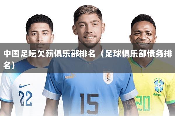 中国足坛欠薪俱乐部排名（足球俱乐部债务排名）