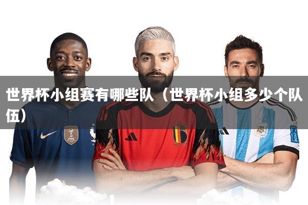 世界杯小组赛有哪些队(世界杯小组多少个队伍)