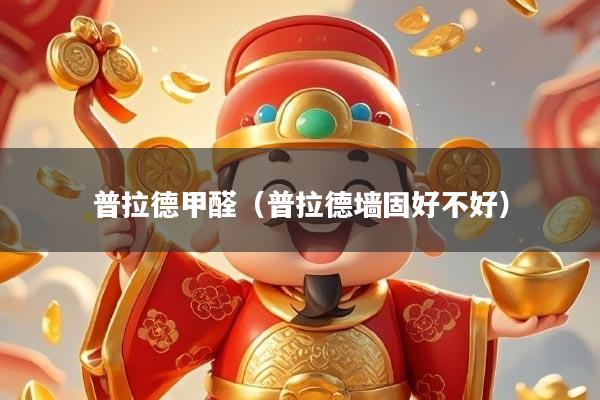 普拉德甲醛（普拉德墙固好不好）